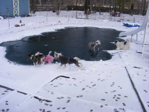 coldtoes.jpg