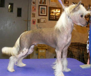 dragon7mths.jpg