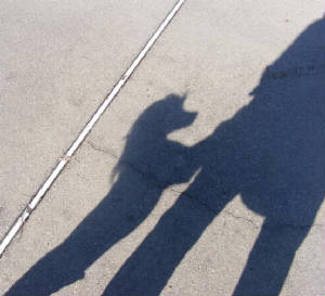 shadowplay.jpg