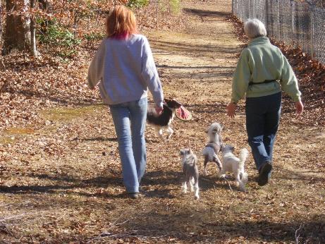 walkingdog.jpg
